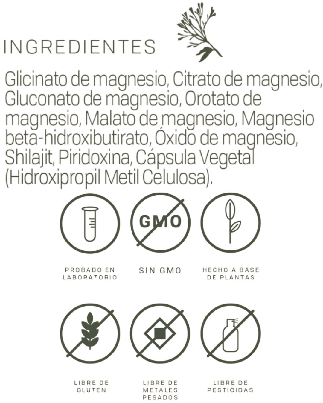 FUNCTIONAL MAGNESIUM