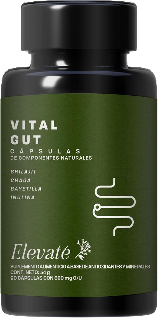 VITAL GUT